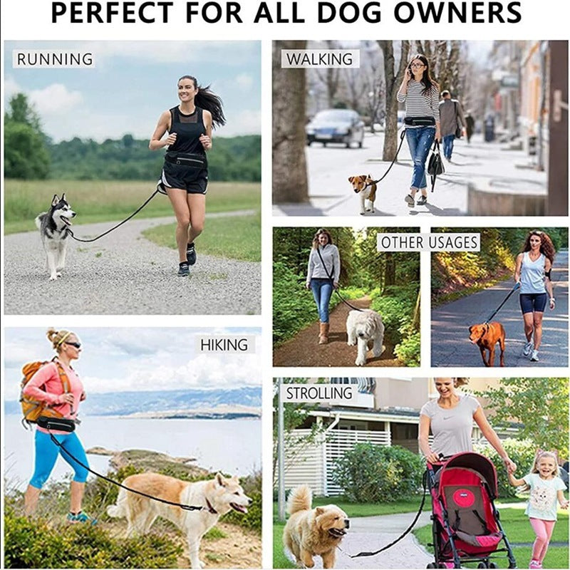 Adjustable Hands-Free Dog Leash with Bungee โ Jog, Walk & Train with Ease