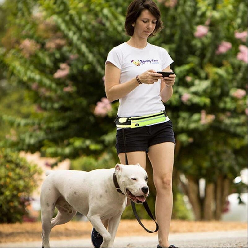 Adjustable Hands-Free Dog Leash with Bungee โ Jog, Walk & Train with Ease