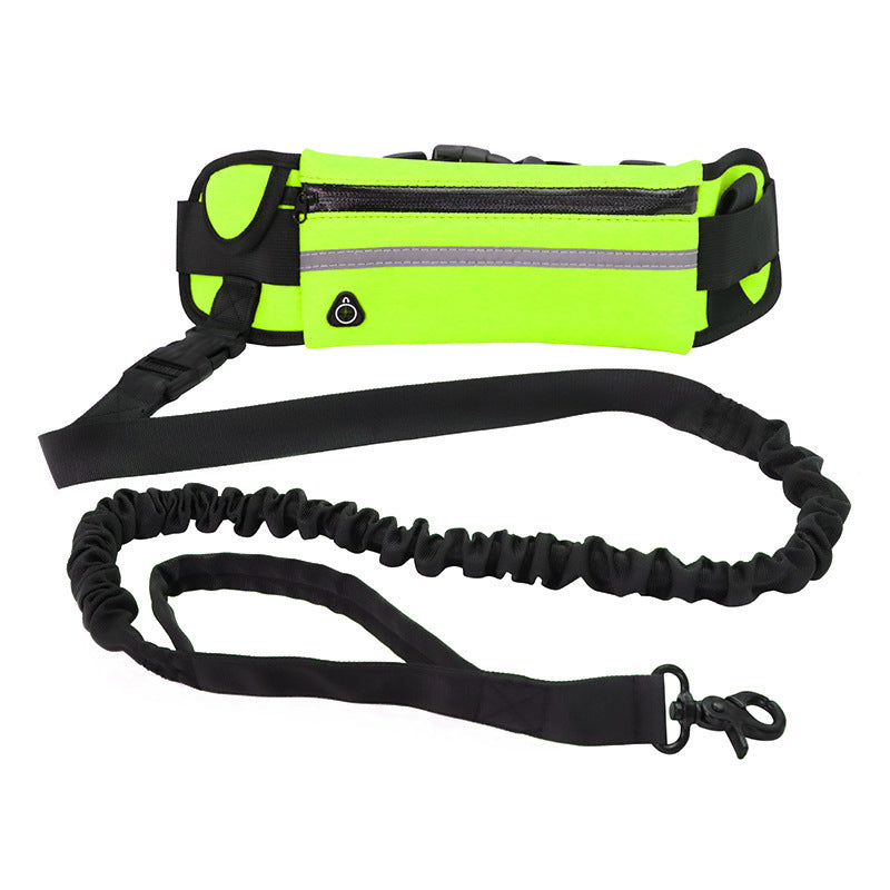 Adjustable Hands-Free Dog Leash with Bungee – Jog, Walk & Train with Ease