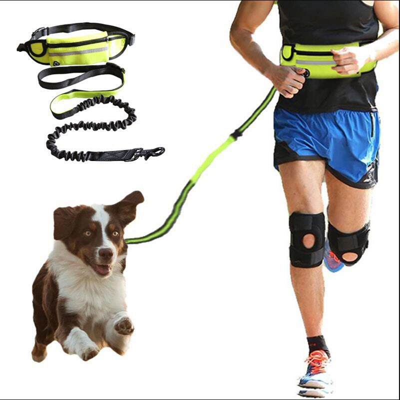 Adjustable Hands-Free Dog Leash with Bungee – Jog, Walk & Train with Ease