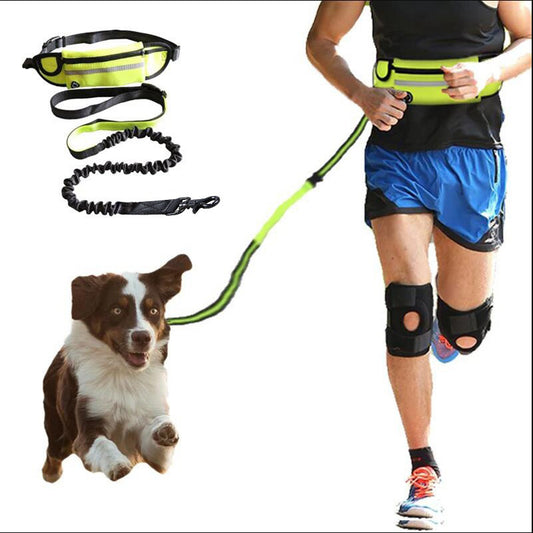 Adjustable Hands-Free Dog Leash with Bungee – Jog, Walk & Train with Ease