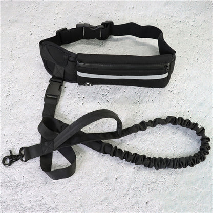 Adjustable Hands-Free Dog Leash with Bungee – Jog, Walk & Train with Ease