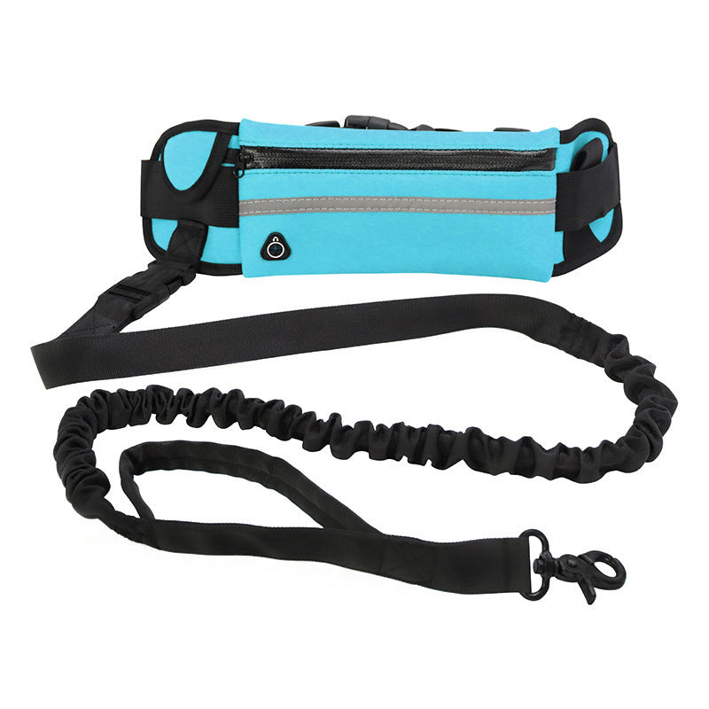 Adjustable Hands-Free Dog Leash with Bungee – Jog, Walk & Train with Ease