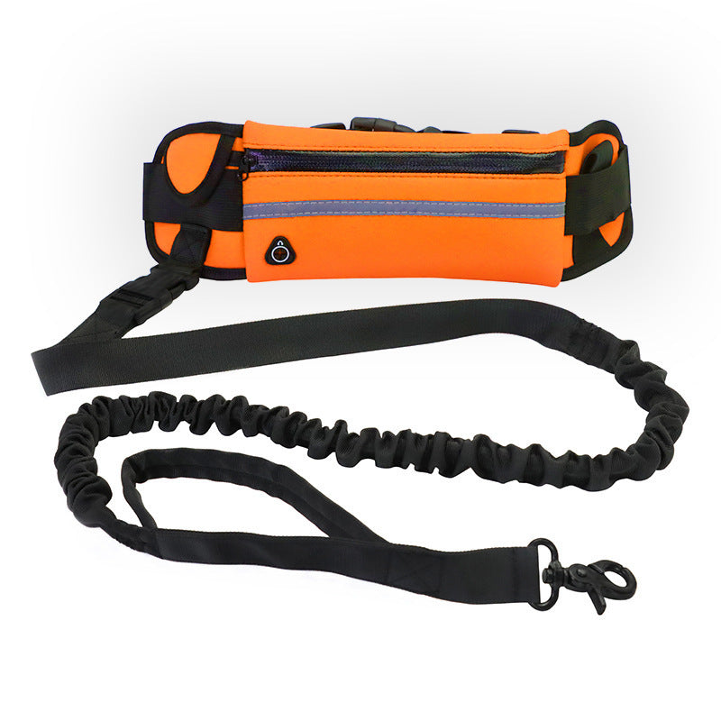 Adjustable Hands-Free Dog Leash with Bungee – Jog, Walk & Train with Ease