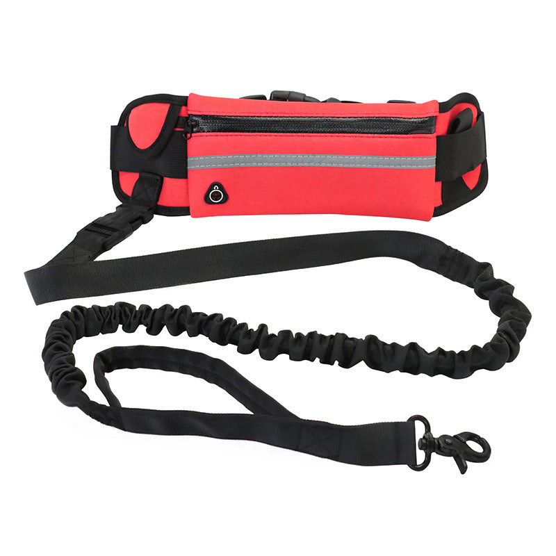 Adjustable Hands-Free Dog Leash with Bungee – Jog, Walk & Train with Ease